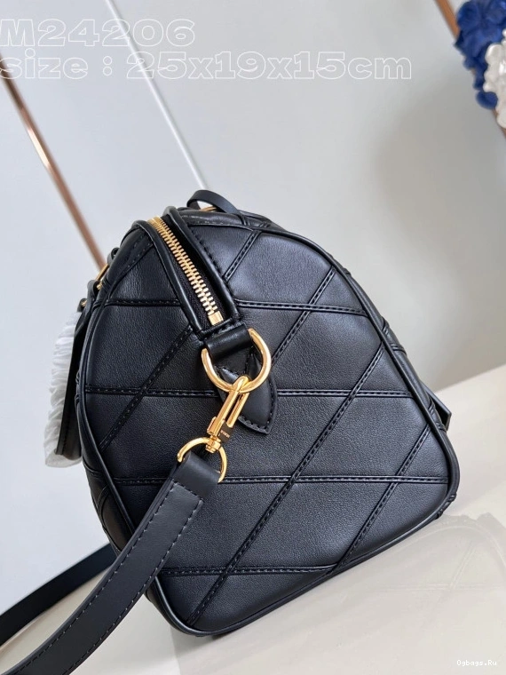 25 Vuitton SPEEDY Louis 0324